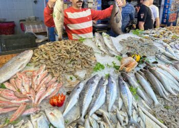 المصريون يطاردون جشع تجار السلع بسلاح المقاطعة