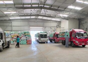 البنك الزراعي يبدأ استلام محصول القمح من المزارعين والموردين في 190 موقعاً