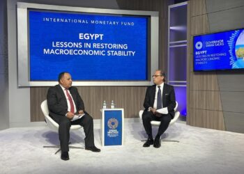 وزير المالية : الدولة تدفع القطاع الخاص بكل قوة حتى يقود الاقتصاد المصرى