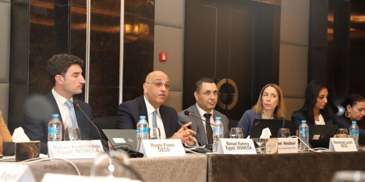 جهاز المشروعات يتعاون مع منظمة التعاون الاقتصادي لتطوير المشروعات الصغيرة في مصر