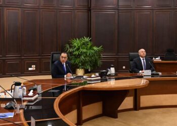 مصر تسعى للتوافق على سرعة تفعيل المشروعات المشتركة في قطاعى الصناعة والطاقة مع الإمارات