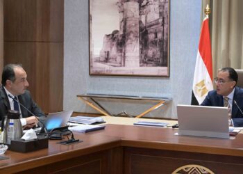 وزير قطاع الأعمال : مفاوضات متقدمة مع عدة شركاء لإحياء شركة النصر للسيارات