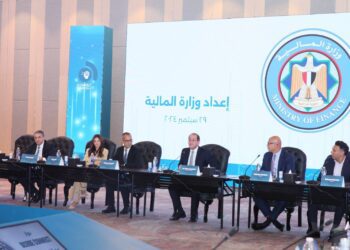 وزير المالية : نبحث إطلاق حزمة من التيسيرات لتوطين بعض صناعات تكنولوجيا المعلومات