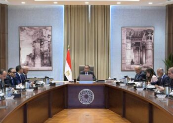 الحكومة تبحث آلية تعديل حدود الكربون لتعزيز تنافسية الصادرات المصرية