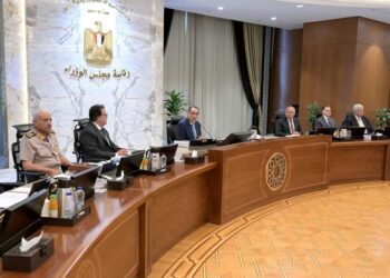 الحكومة توافق على إجراءات حوكمة منظومة استيراد سيارات ذوى الهمم