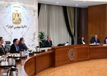 بحضور محافظ المركزي ..الحكومة تبحث تيسير الحصول على التمويل للمشروعات الخضراء