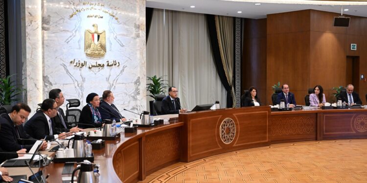 بحضور محافظ المركزي ..الحكومة تبحث تيسير الحصول على التمويل للمشروعات الخضراء