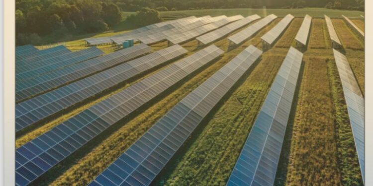 جهاز المشروعات يطلق برنامجاً طموحاً لتمويل الشركات العاملة بالطاقة الشمسية