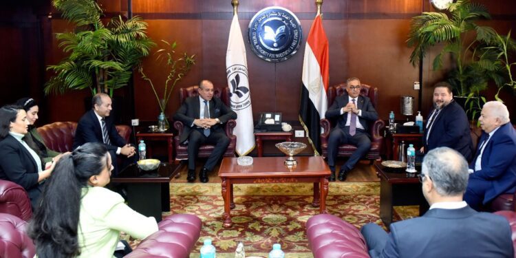 باستثمارات 1.6 مليار دولار..”هينفرا البولندية” تبحث إنشاء مشروع لإنتاج الأمونيا الخضراء