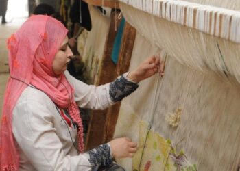 “الدعم”و “خطوة” و “را لايت “..3 شركات جديدة تسعى لمزاولة نشاط التمويل متناهي الصغر