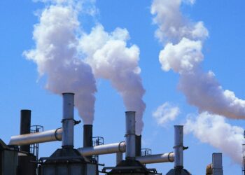 رسمياً ..المملكة العربية السعودية تُطلق سوقاً طوعية لتداول الكربون