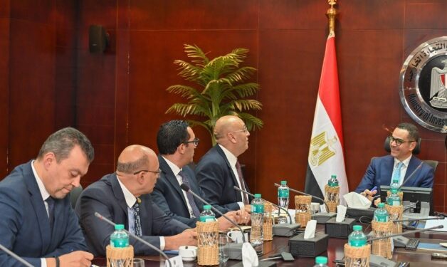 وزير الاستثمار يبحث مع جهاز المشروعات سبل دعم الشركات الصغيرة والمتوسطة في مصر
