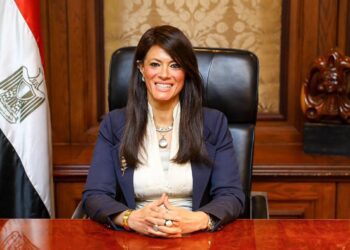 مؤسسات التمويل الدولية تستثمر 890 مليون دولار في شركات القطاع الخاص المصرية خلال نوفمبر