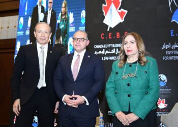 رئيس الرقابة المالية : نحتاج زيادة نشاط بنوك الاستثمار في التوعية بصناديق التأمين الخاصة