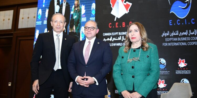 رئيس الرقابة المالية : نحتاج زيادة نشاط بنوك الاستثمار في التوعية بصناديق التأمين الخاصة