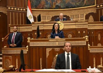 وزيرة التضامن : الحكومة نجحت أخر 10 سنوات في تقديم سياسات متنوعة لتكوين شبكة حماية اجتماعية