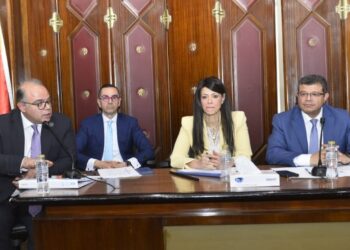 بحضور رئيس الرقابة المالية .. مجلس النواب يناقش مشروع قانون الشركات المملوكة للدولة