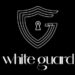 شركة THE WHITEGUARD المصرية الناشئة تغلق جولة تمويل