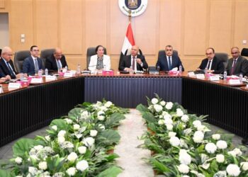 تكليف مجموعة التنمية الصناعية بدراسة أي طلب مقدم لمجلس الوزراء بإقامة منطقة حرة خاصة