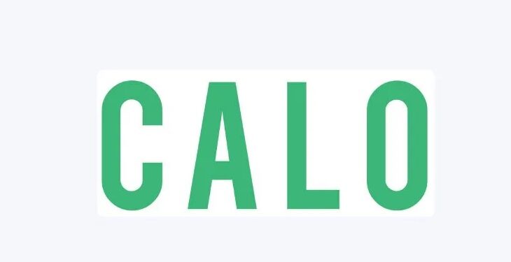 شركة Calo الناشئة تجمع 39 مليون دولار في جولة استثمارية