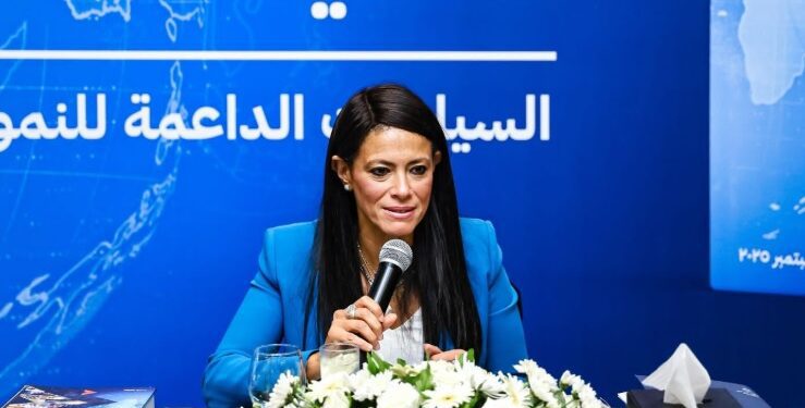 وزيرة التخطيط : أكثر من 16 مليار دولار تم حشدها للقطاع الخاص من مؤسسات التمويل الدولية