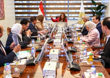 وزيرة التنمية المحلية تبحث مع صندوق الإسكان والرقابة المالية الاستفادة من الخدمات التمويلية بالمحافظات