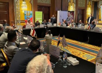 اتحاد تمويل المشروعات يلتقي بعدد من الأعضاء المنتدبين لشركات تمويل المشروعات المتوسطة والصغيرة ومتناهية الصغر