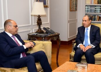 مصر تبحث إنشاء قاعدة بيانات وطنية موحدة وشاملة للعمالة المصرية بالخارج