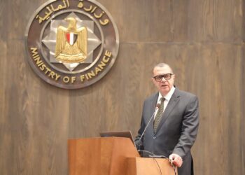 نائب وزير المالية : نعمل على دمج التجارة الإلكترونية بشكل أكبر