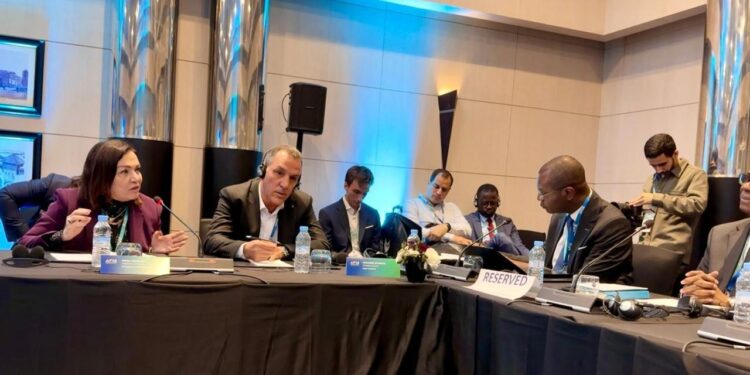 منى ذو الفقار : على مؤسسات متناهي الصغر في الدول الأفريقية اللجوء إلى مصادر تمويل بديلة لرأس المال