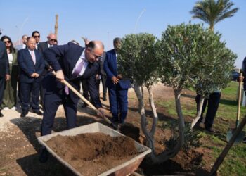 رئيس الرقابة المالية وقيادات التأمين يزرعون مجموعة أشجار بشرم الشيخ كمساهمة في خفض الانبعاثات الكربونية