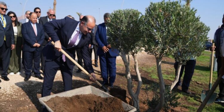 رئيس الرقابة المالية وقيادات التأمين يزرعون مجموعة أشجار بشرم الشيخ كمساهمة في خفض الانبعاثات الكربونية