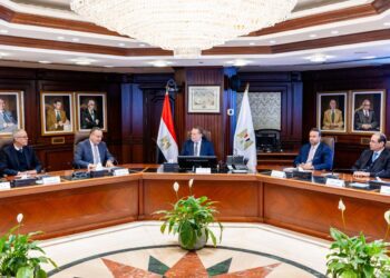 محافظ البنك المركزي المصري يبحث مع وزير التعليم العالي العلمي التعاون المشترك