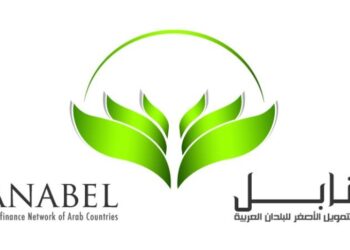 ما هى شبكة التمويل الأصغر للبلدان العربية “سنابل ” ؟