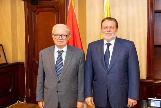 محافظ المركزي يبحث مع نائب رئيس الوزراء للشؤون الاقتصادية مستجدات الأوضاع الاقتصادية