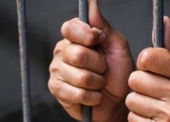 حكم بالمؤبد والعزل من الوظيفة لموظف استولى على مبلغ مالي من إحدى شركات التمويل متناهي الصغر الرائدة في مصر